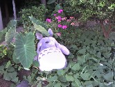 昔はいっしょに遊んだけど．．．