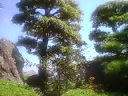 僕の夏休み